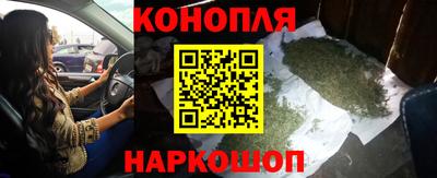 spice Гусев