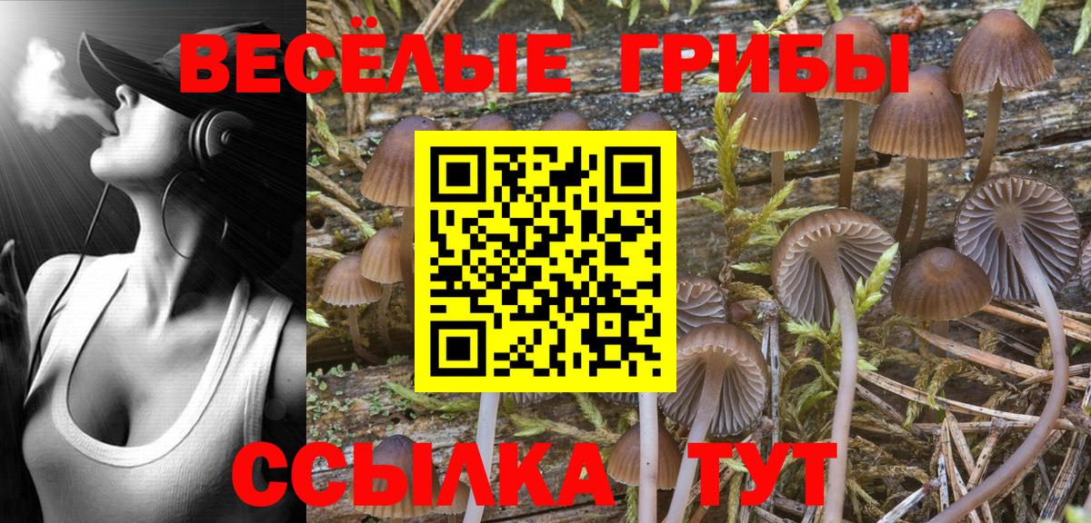 Кыштым  Галлюциногенные грибы Magic Shrooms  Вход с VPN 